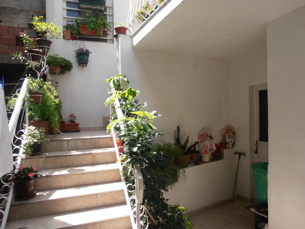 Apartmani Zeljko Vujovic Budva Exteriér fotografie