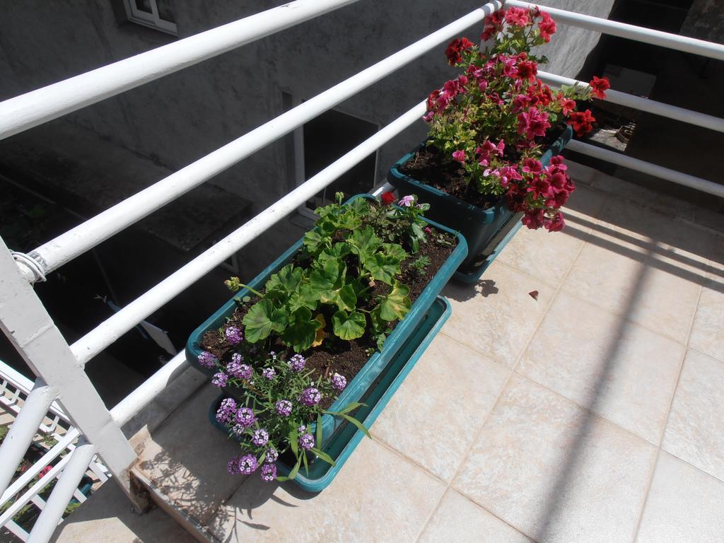 Apartmani Zeljko Vujovic Budva Exteriér fotografie